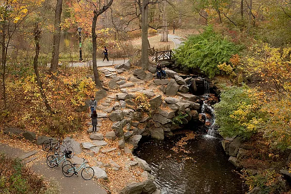 Sold by A & I Broadway | media 7