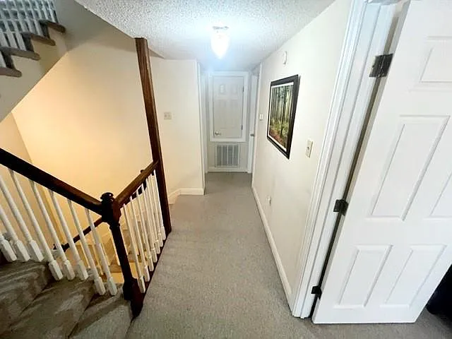 323 Morgan St #D — Photo 16