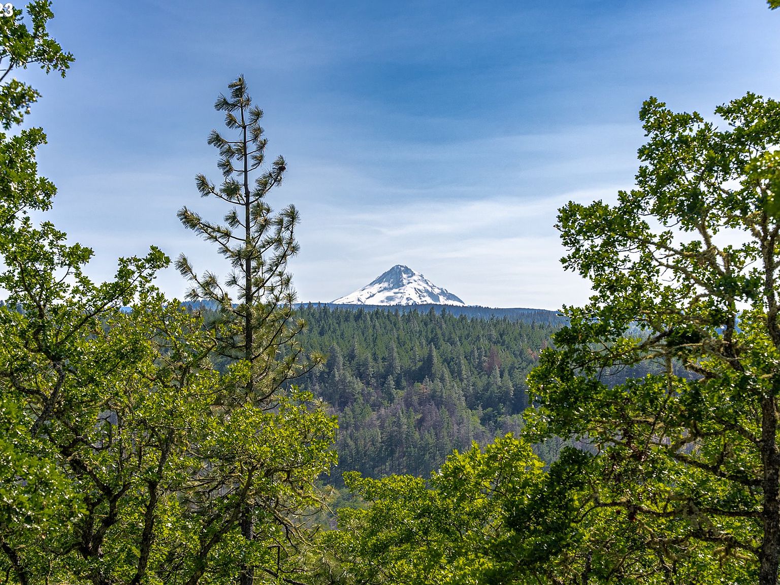 1888 Paradise Ridge Pl, Mosier, OR 97040 MLS 23459582 Zillow