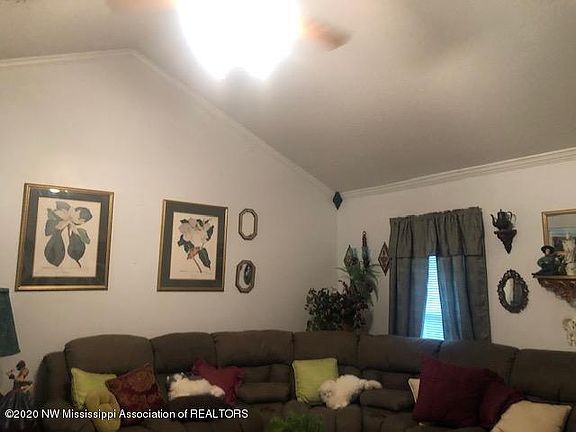 4th image of 6282 Magnolia Lakes Dr