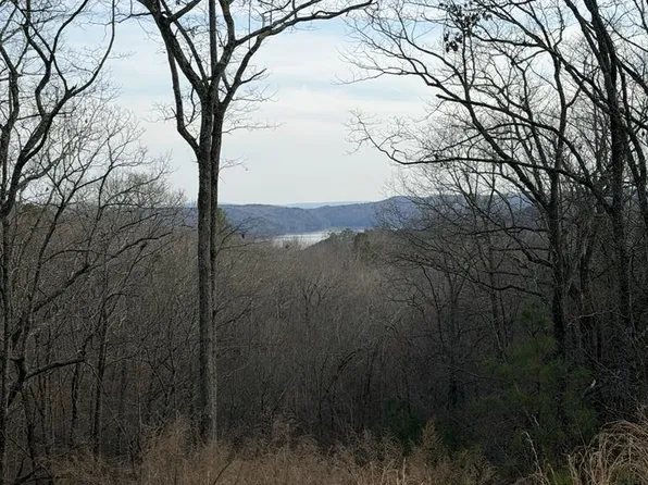 439 Buck Creek Rd, Flowery Branch, GA 30542