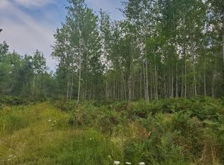 1512 E 72nd St, Idlewild, MI 49642