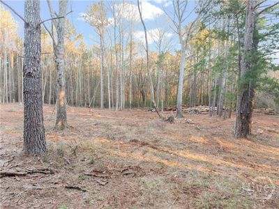 Tract 4 Seven Islands Road, Madison, GA, 30650