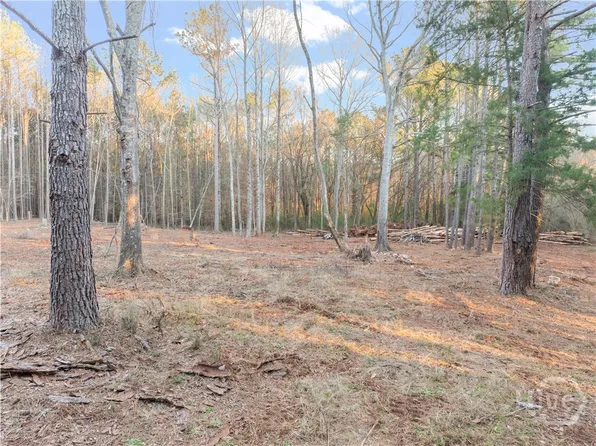 Tract 4 Seven Islands Road, Madison, GA 30650