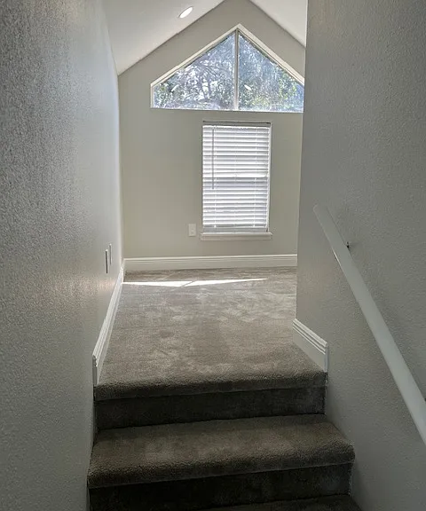 Spring Lake Apartments — Photo 193