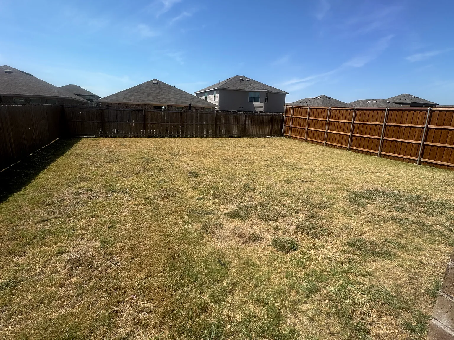 3 bed, 1359 sqft, $1,950 — Photo 3