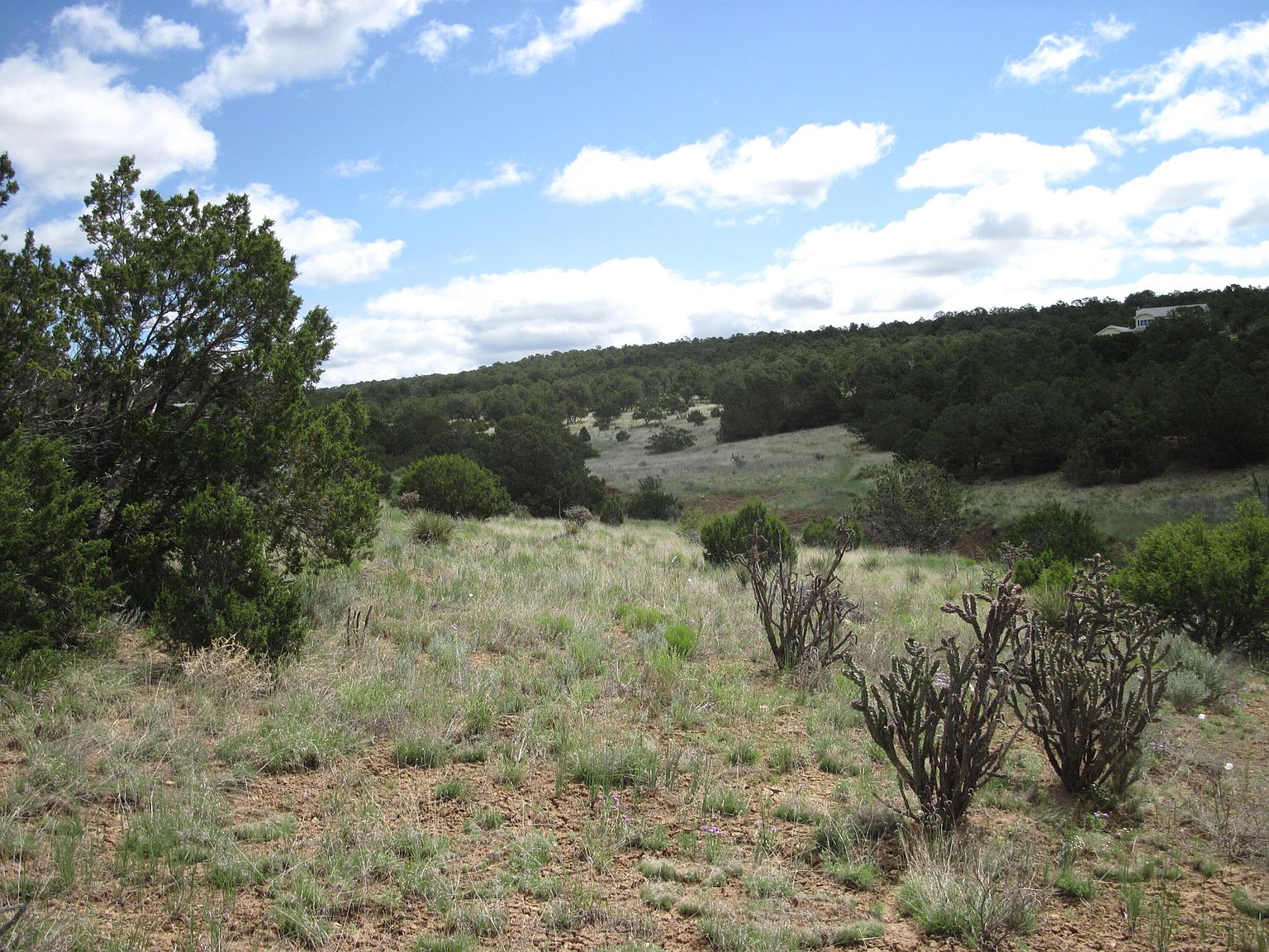 24 Chapel Ln, Tijeras, NM 87059 MLS 1035893 Zillow