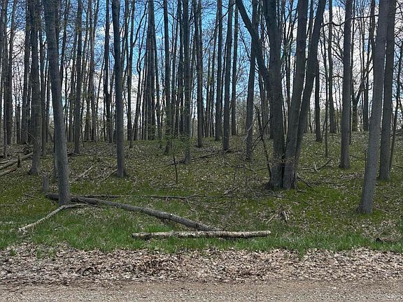 3rd image of 9690 Pere Marquette Dr