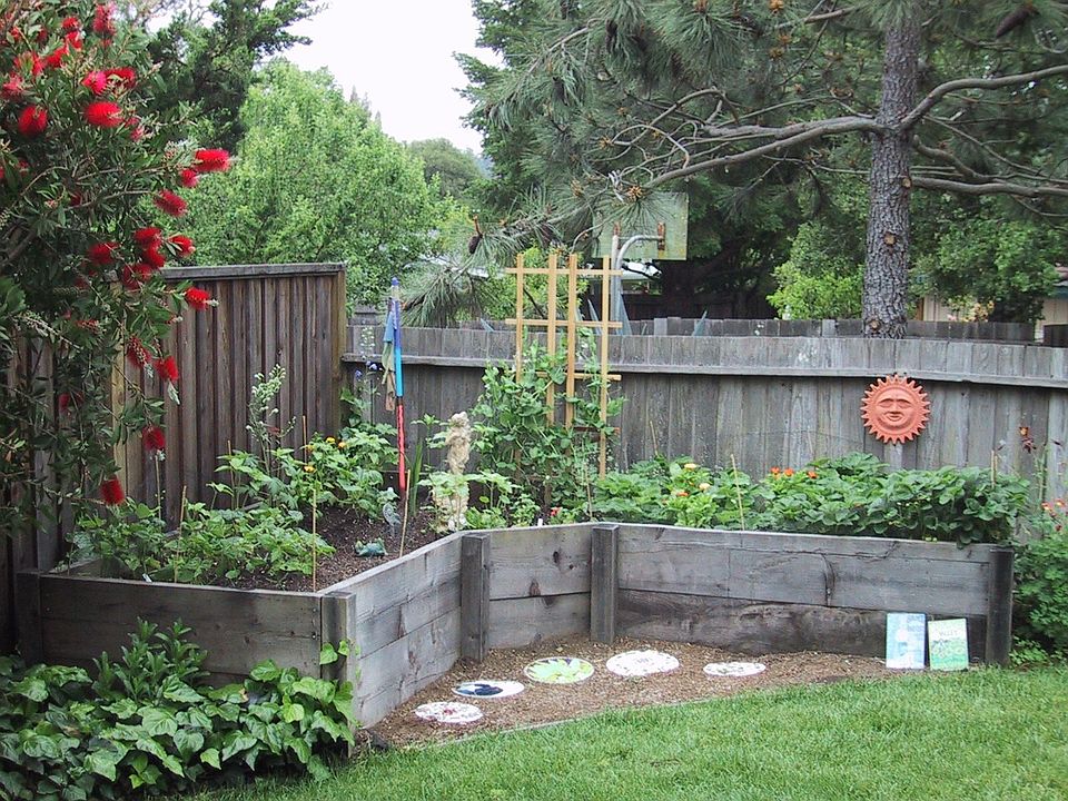 Back yard garden 