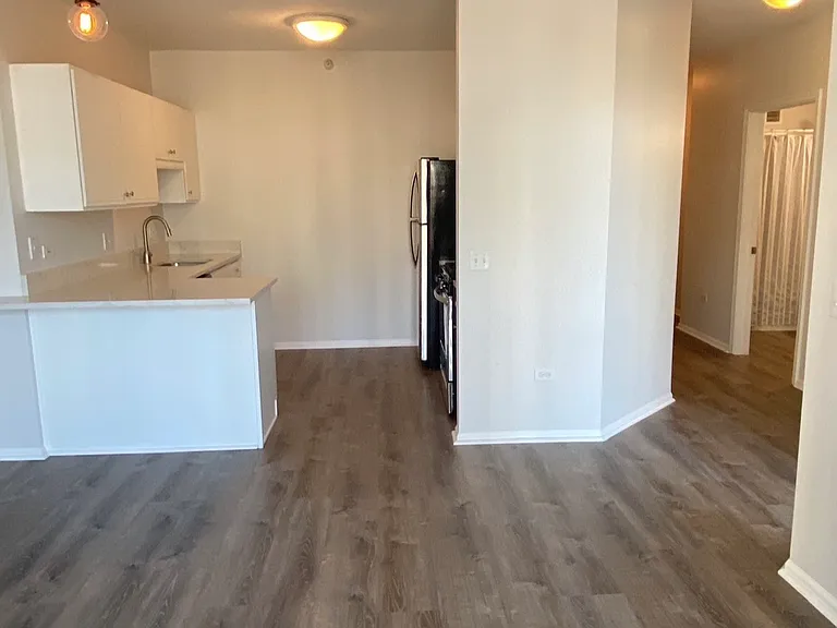 600 N Dearborn St #1305 — Photo 7