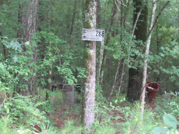 288 Pelican St, Ringgold, LA 71068