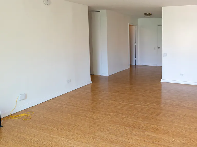 1169 S Plymouth Ct #302 — Photo 3