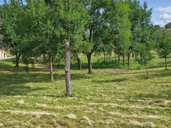 1417 Evening Primrose Dr, Graford, TX 76449