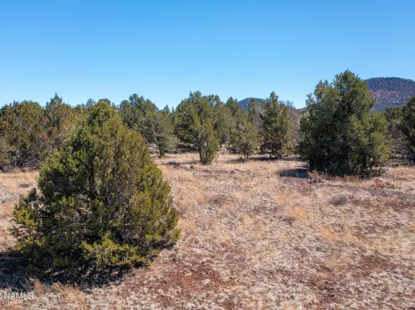 1 E Hoctor Rd, Williams, AZ 86046