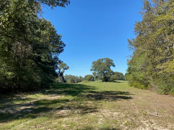 6 County Road 242, Oakwood, TX 75855
