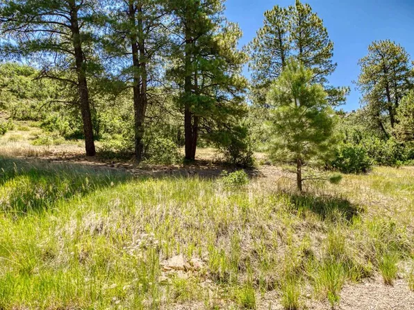 587 Santino Place, Pagosa Springs, CO 81147