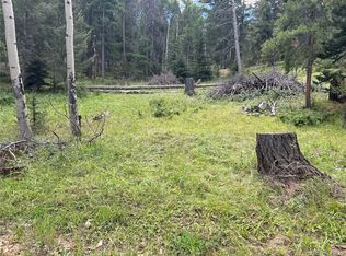 12208 Circle Dr, Conifer, CO 80433