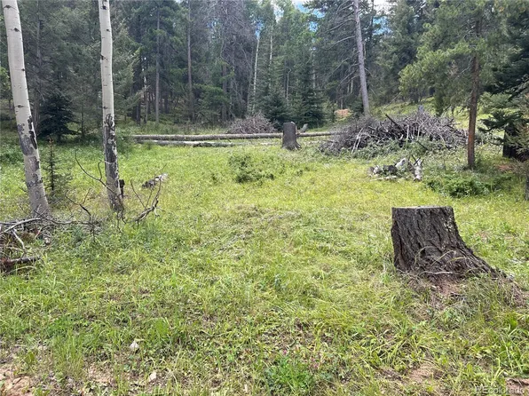 12208 Circle Drive, Conifer, CO 80433