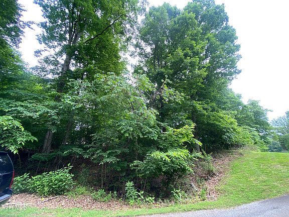 3rd image of 278 Candy Creek Dr