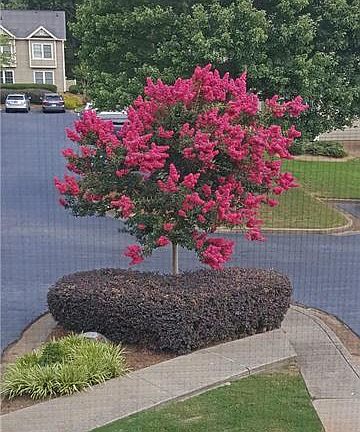 4th image of 20 Lakes Edge Dr SE