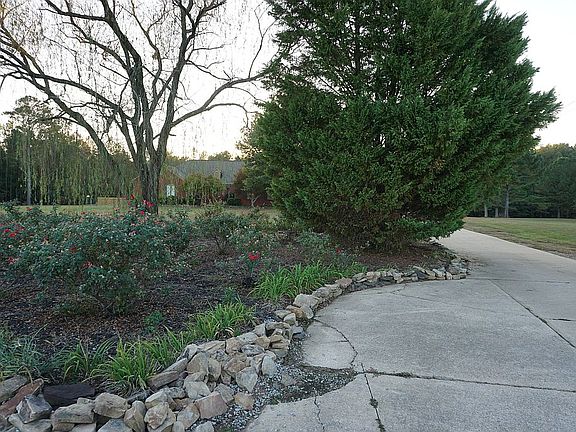 Landscaped By Front of Drive