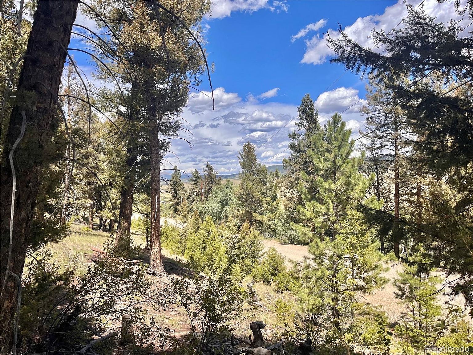 3015 Redhill Road Lot 496, Fairplay, CO 80440 MLS 1791564 Zillow