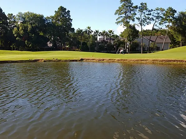 32 Coralvine Ct, Spring, TX 77380