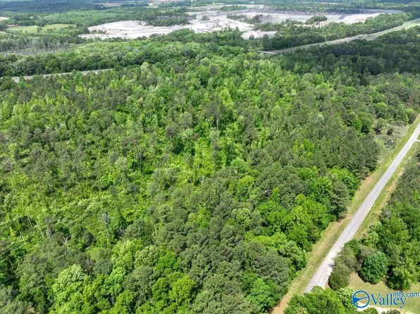 LOT 4 Mill Creek Rd, Falkville, AL 35622