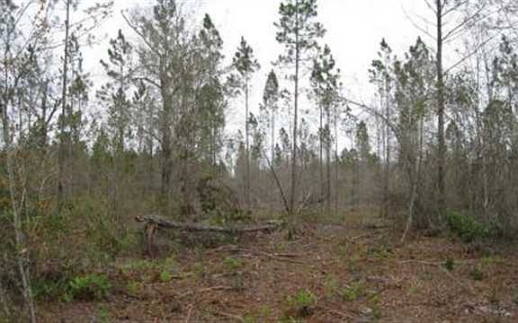 5th image of Vacant Sw Paradise Way #0
