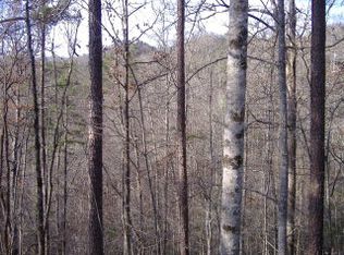 0 Davis Rd, Almond, NC 28702