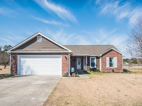 41 Spiral Branch Ct, Linden, NC 28356