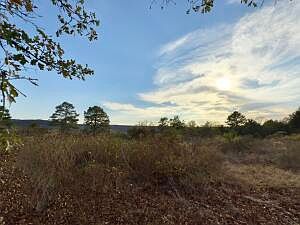 1st image of 160 Josie Ln
