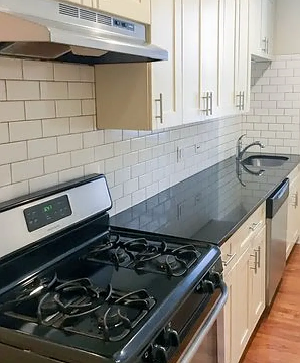 847 W Cornelia Ave #3S