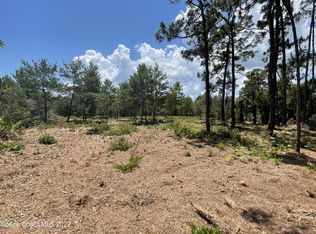 4585 Grant Rd, Grant Valkaria, FL 32949