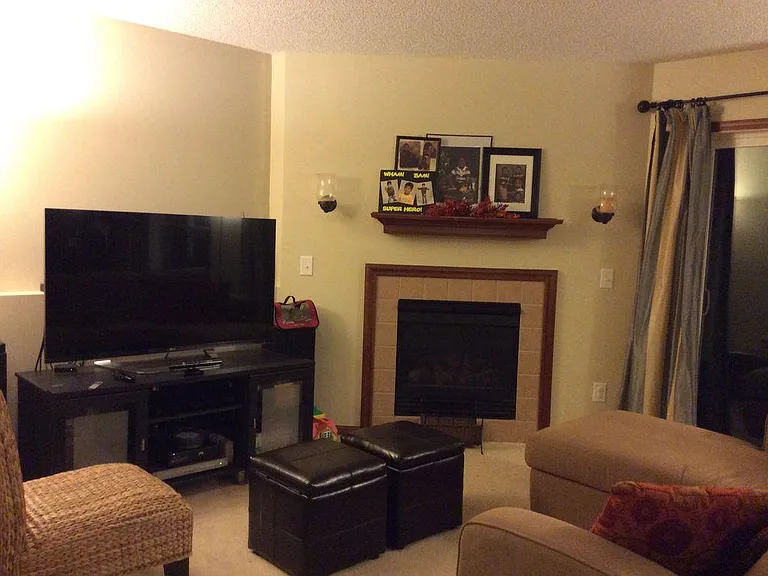 Basement Family Room