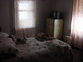 5th image of 603 S 1st Ave
