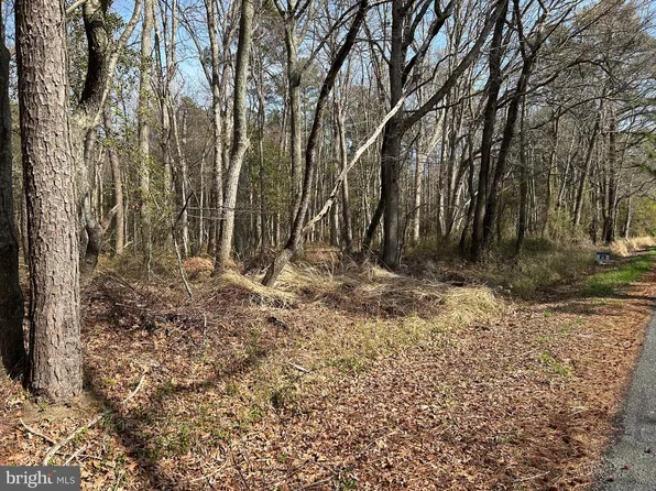 Bay Shore Rd, Taylors Island, MD 21669