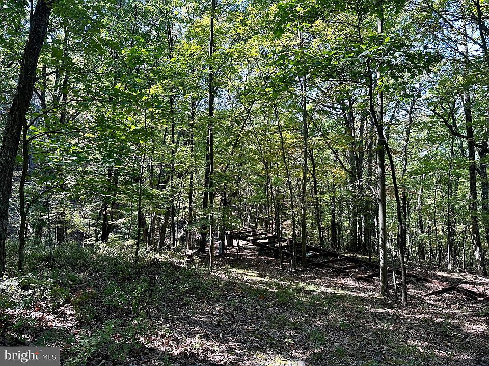 21 Sec 6, Slanesville, WV 25444 Zillow