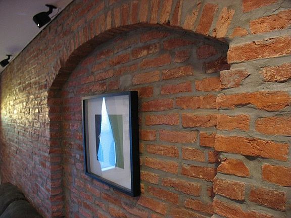 Unique Exposed Brick