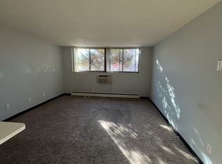 915 20th Ave S APT 104, Minneapolis, MN 55404