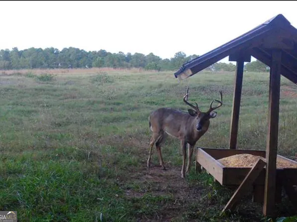 0 State Highway 80, Talbotton, GA 31827