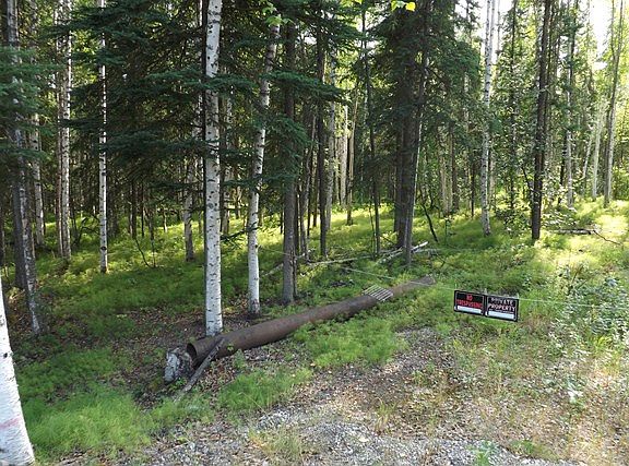 5th image of 515 Nordale Rd