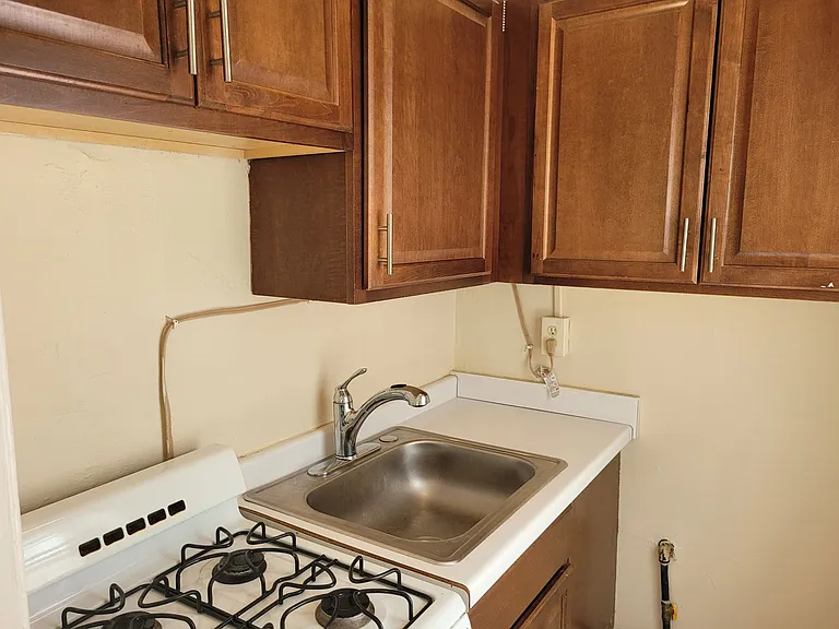 1303 Cass — Photo 91