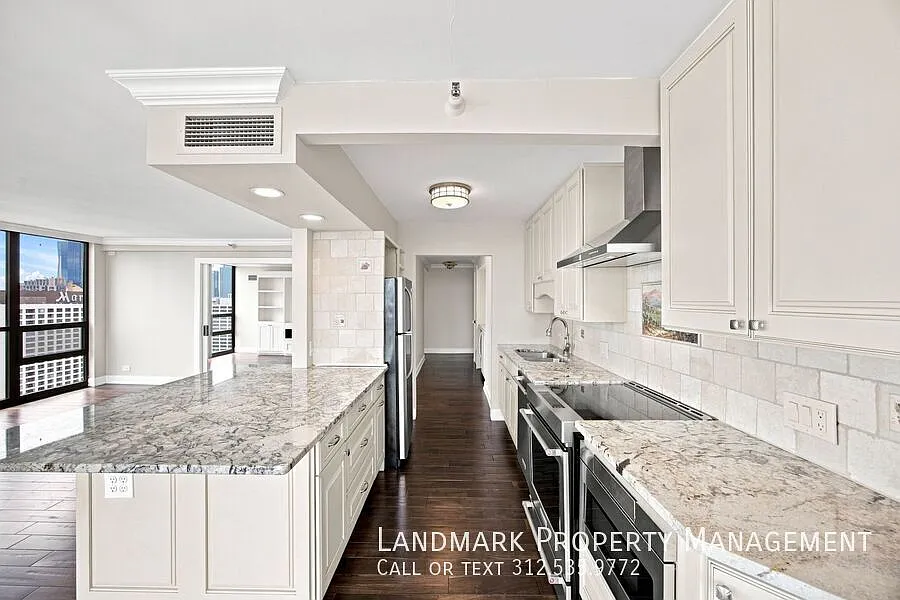 10 E Ontario St Apt 4908 — Photo 4