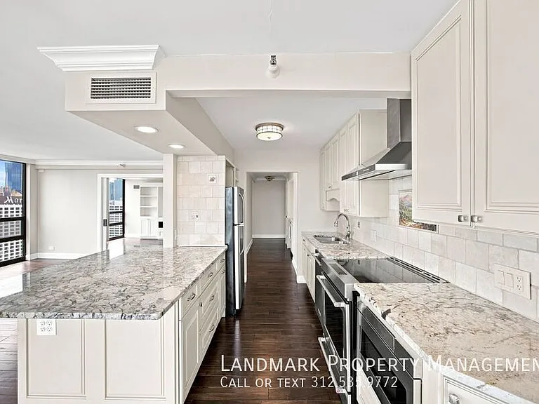 10 E Ontario St #4908 — Photo 4