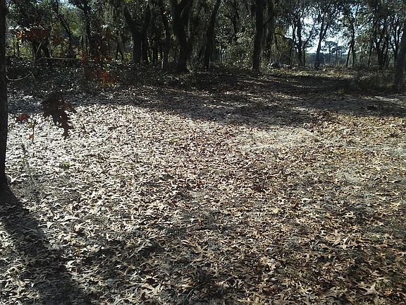 4th image of 3132 Fast Trot Trl