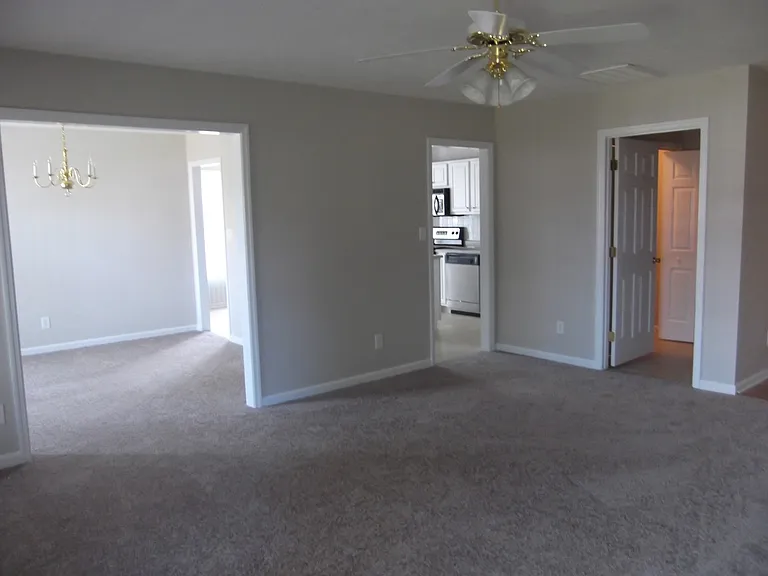 2937 Piney Mountain Dr — Photo 11