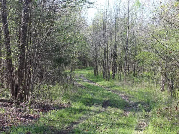 Albert Pike Rd, Royal, AR 71968