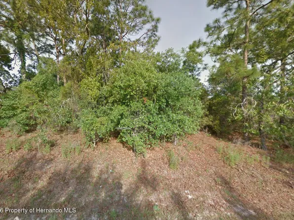 8181 Christopher Ln, Brooksville, FL 34613