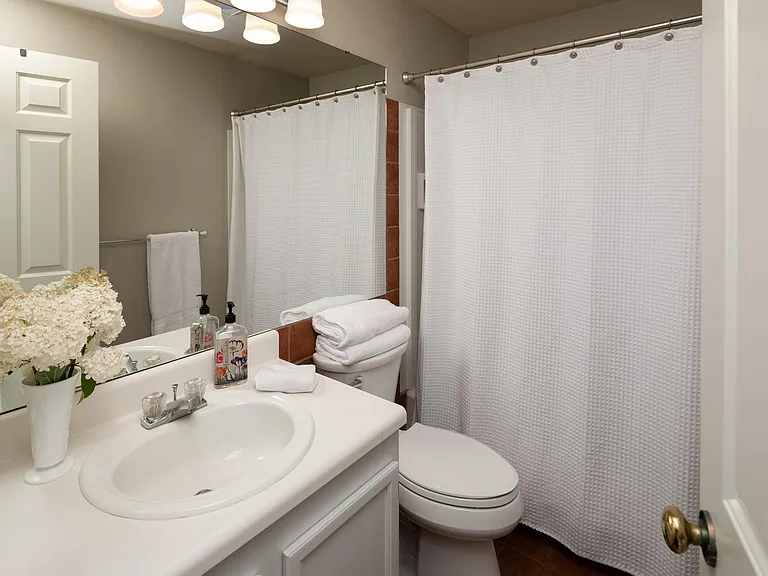 full guest bathroom